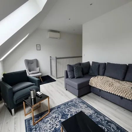 Appartement Duplex 105m2 Terrasse Et Balnéo - Parking Privé - Proche Paris Saint-Brice-sous-Forêt